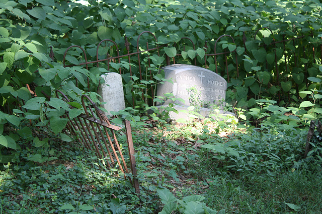 85.MountZionCemetery.Georgetown.27O.NW.WDC.21June2010