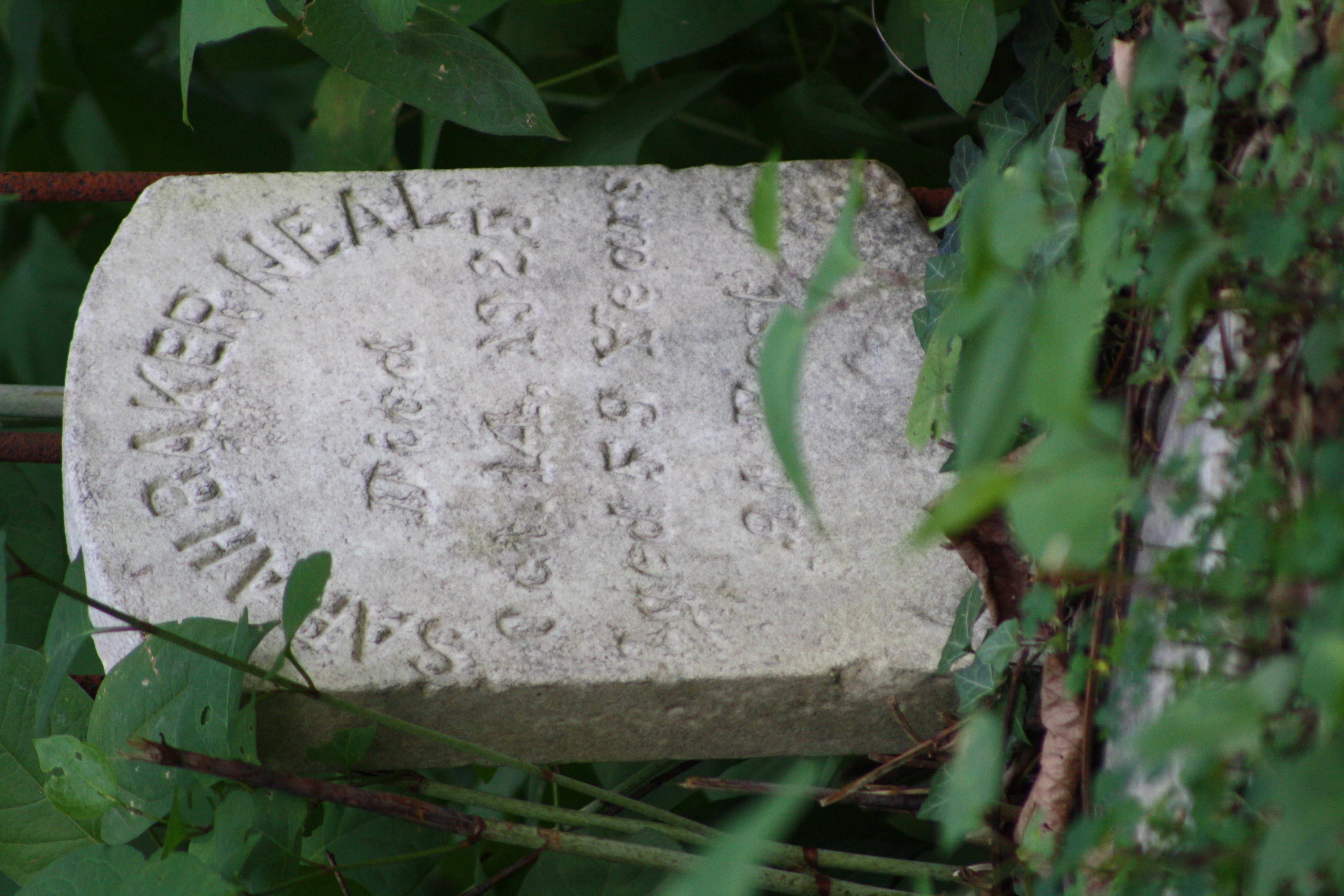 88.MountZionCemetery.Georgetown.27O.NW.WDC.21June2010