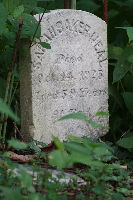 88.MountZionCemetery.Georgetown.27O.NW.WDC.21June2010