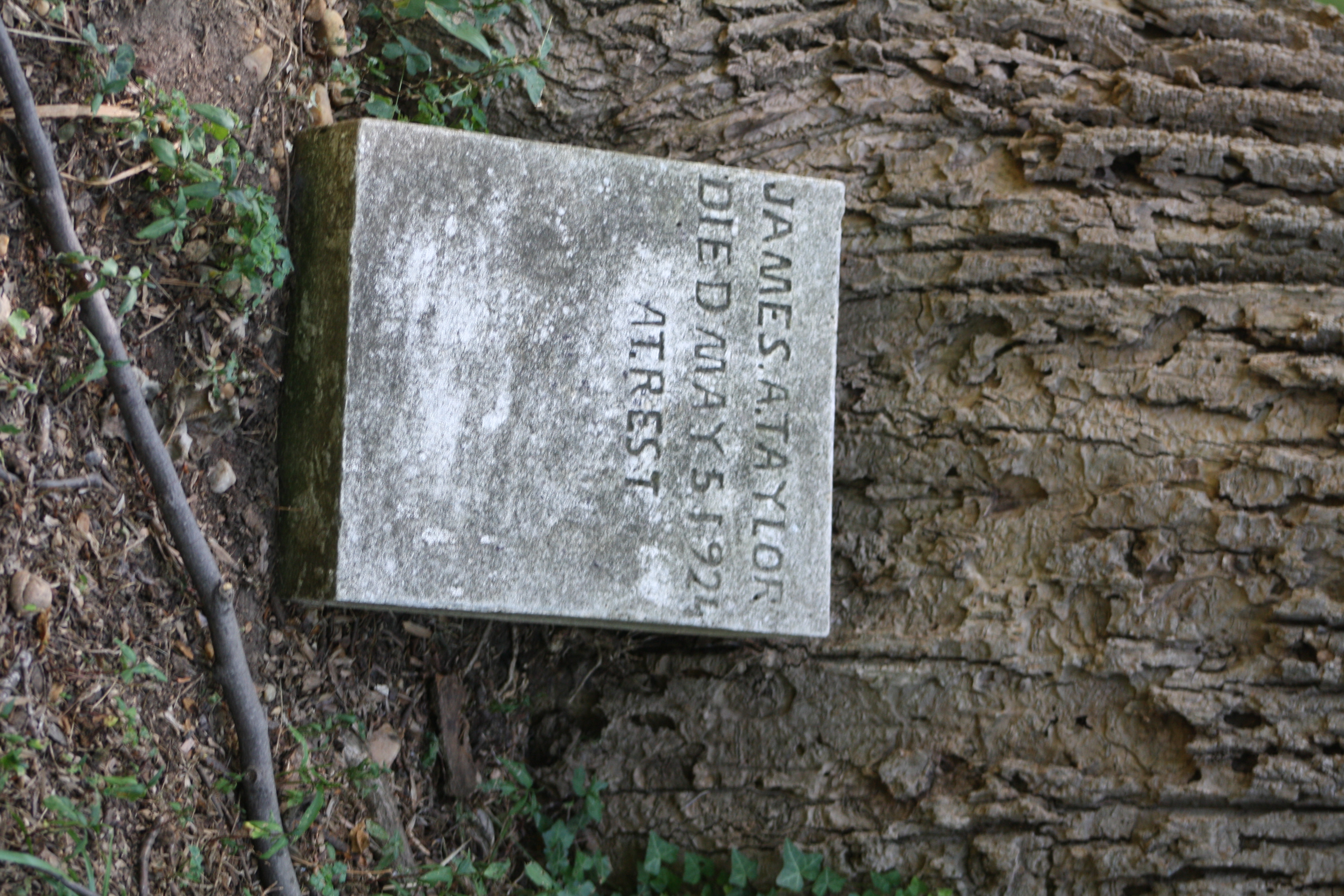 91.MountZionCemetery.Georgetown.27O.NW.WDC.21June2010