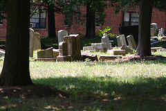 102.MountZionCemetery.Georgetown.27O.NW.WDC.21June2010
