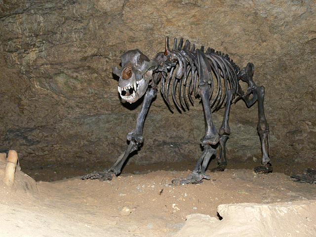 Teufelshöhle bei Pottenstein