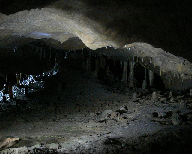 Teufelshöhle bei Pottenstein