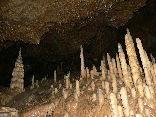 Teufelshöhle bei Pottenstein