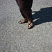 Christiane  -  Sandales de cuir à talons hauts / Leather high-heeled sandals