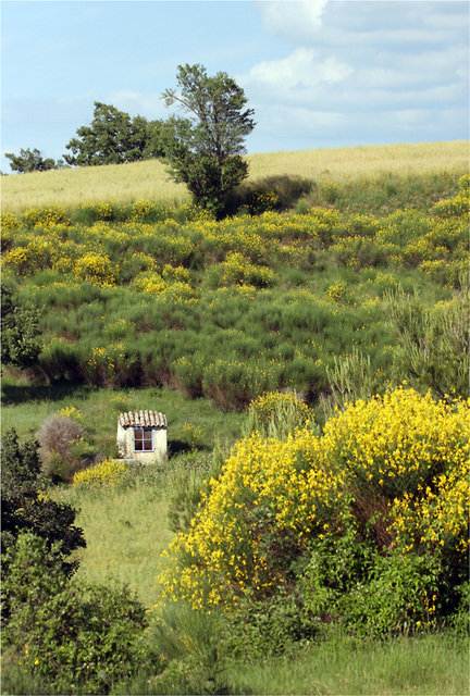 la petite maison dans la prairie...