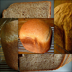 3x Beautiful Light Wheat Bread