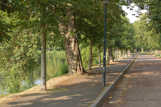 promenejo ĉirkaŭ la lago