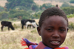 Jeune berger masai