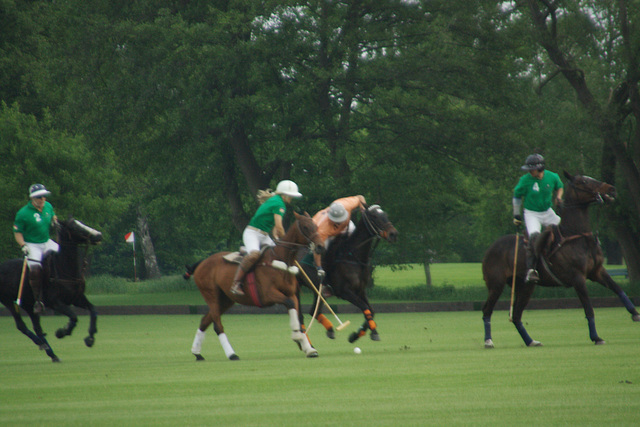 Polo: ein schnelles Spiel auf großem Platz