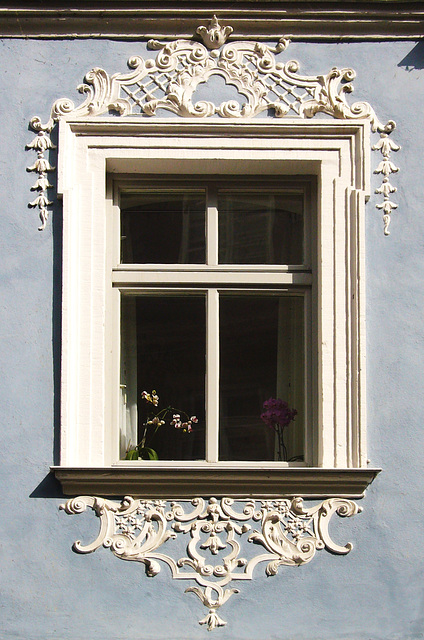 Fenster mit Orchideen