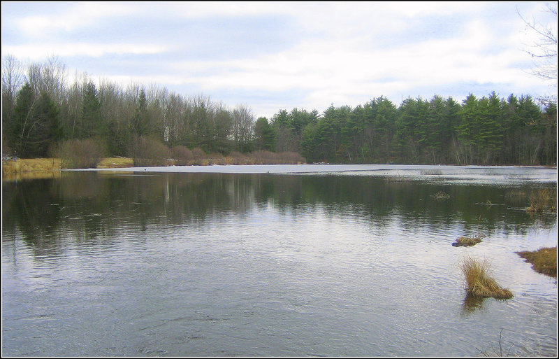 Lake Wintergreen