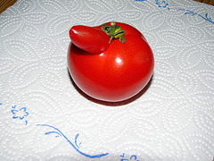 Der Tomate