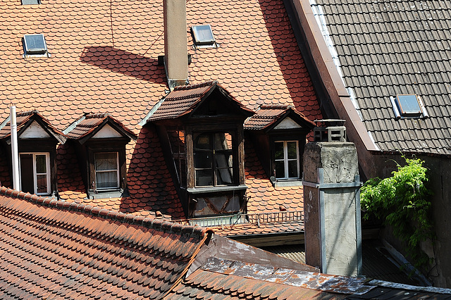 Dachfenster