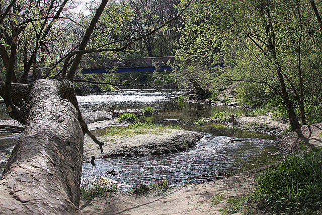 20100422 2353Aw [D~LIP] Werre, Brücke, UWZ, Bad Salzuflen