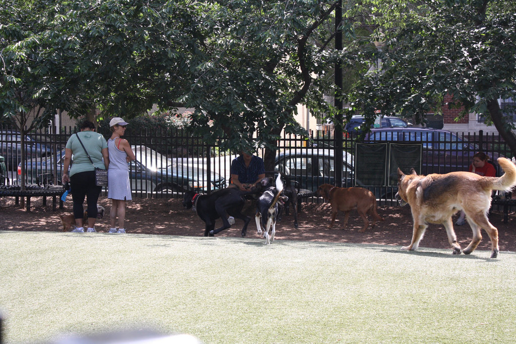 20.SStreetDogPark.NW.WDC.7June2010