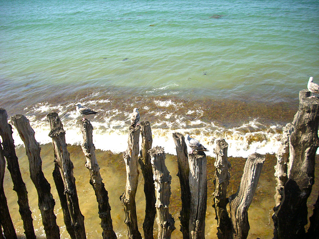 Brise-lames de Saint Malo