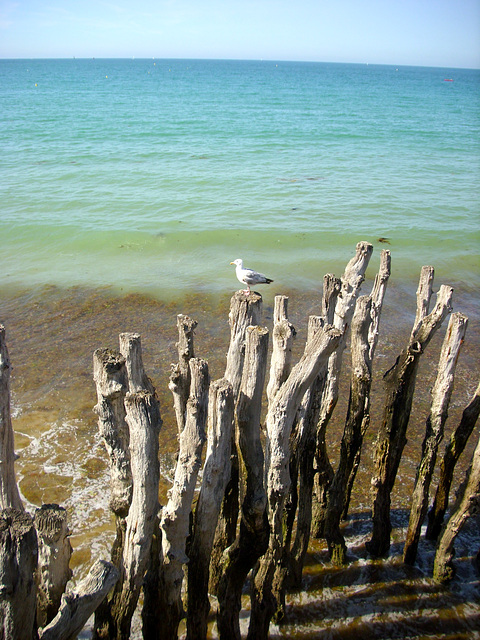 Brise-lames de Saint Malo