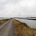 Canal du Midi dans l'étang de Thau