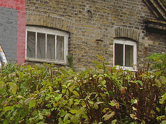 La maison au gros rond mural /  The big wall circle house - Christiania / Copenhague - Copenhagen.  26 octobre 2008.