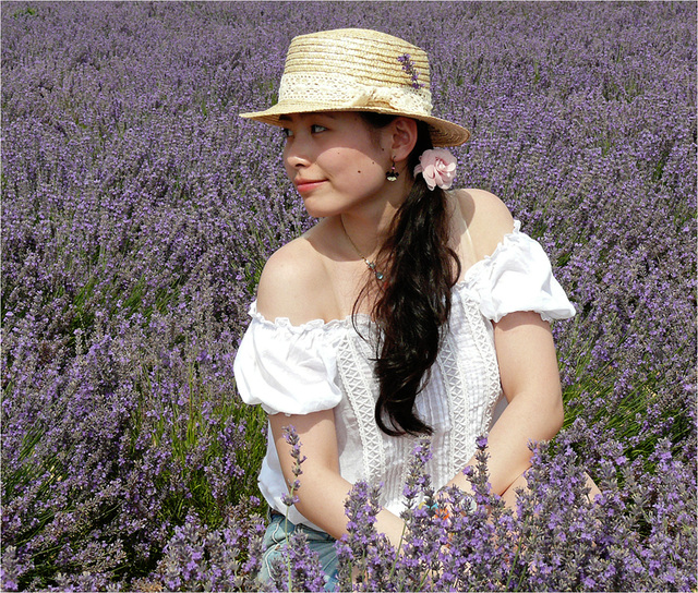 papillon blanc surpris à Valensole