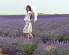 l'envol...les lavandes de Valensole