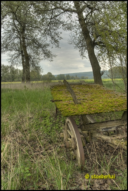 Near Ezelheim