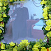 Blütenteppich mit Foto