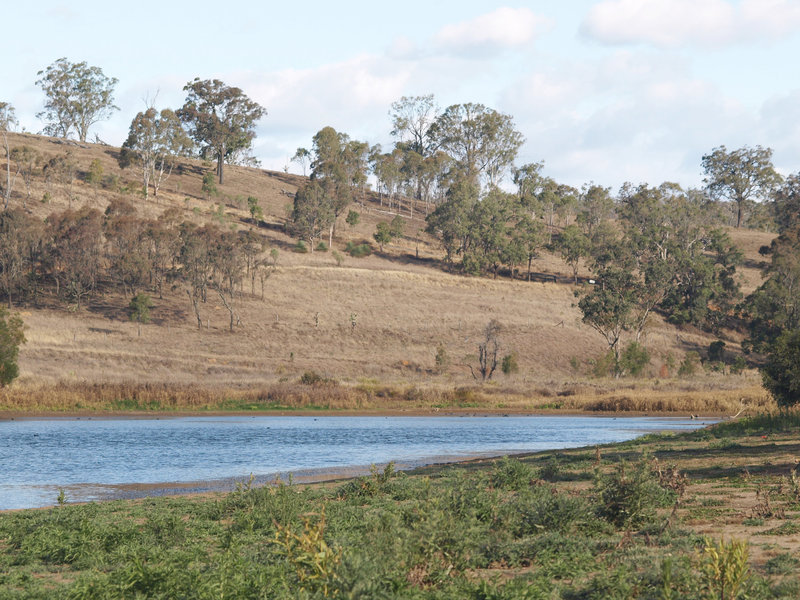 CoobyDam201407 237