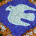Blütenteppich
