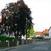 Der Morgen der Primiz