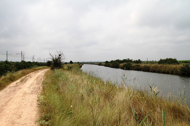 Le canal du Midi près de Marseillan