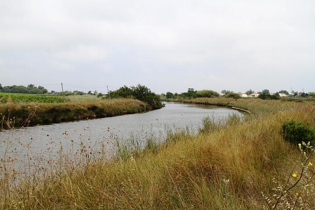 Le canal du Midi près de Marseillan