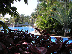 Hotel Costa Meloneras- Playa del Ingles- Canarias