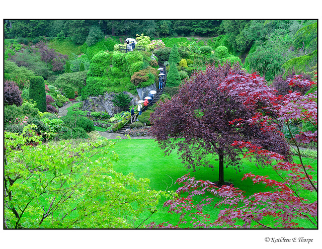 Gardens in the Rain