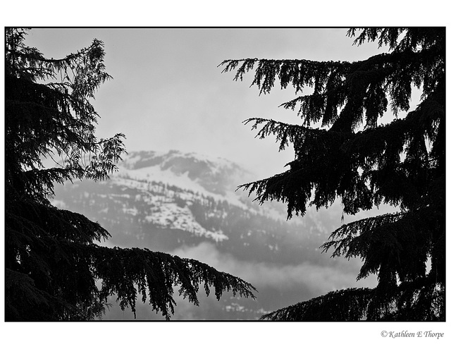 Whistler Golf Course framed mountain in black and white