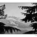 Whistler Golf Course framed mountain in black and white
