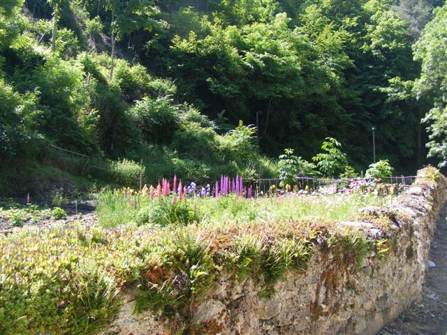 UN Jardin à Mérial