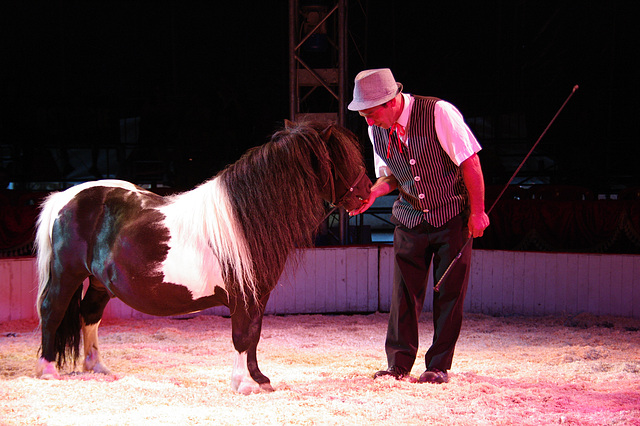 Rony et son Poney