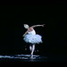 Умирающий лебедь; Cigno mortanta; Le cygne mourant; The dying swan