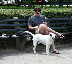 38.DupontCircle.WDC.24May2008