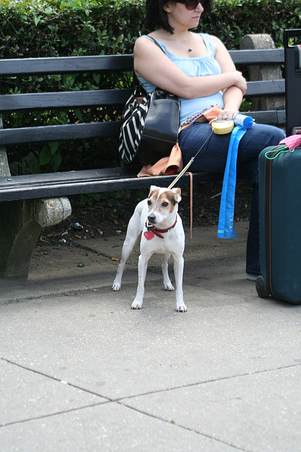 40.DupontCircle.WDC.24May2008