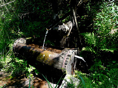 Wanderung im Osterzgebirge