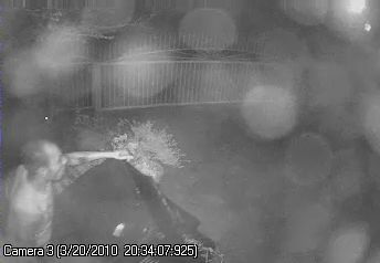 Desert View Burglary (1003d-5757 2)