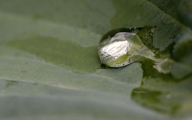 Fuite d'eau