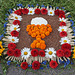 Blütenteppich