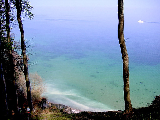 Auf dem Kreidefelsen in Rügen