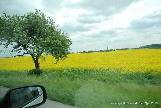 vue de la voiture