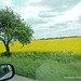 vue de la voiture
