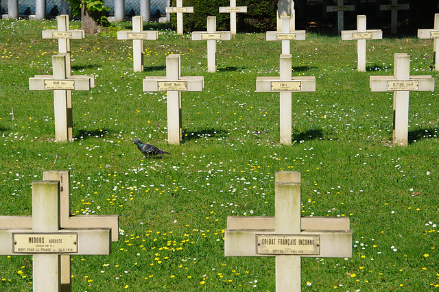 Cimetière Français